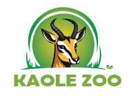 cropped-logo-zoo-0002-01.png